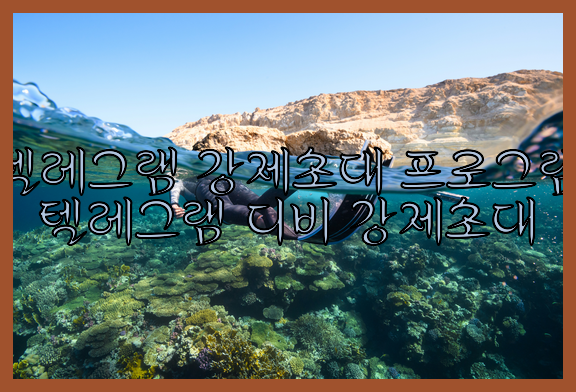 텔레그램 번호 디비 강제초대